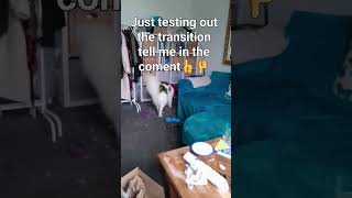 my room is a tip🤣🤢🤮