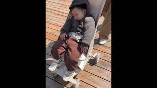 一岁3个月幼崽的动物园之旅小屁孩的日常 带娃出游 人类幼崽 动物园
