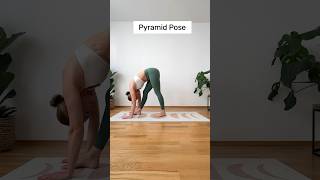 How to use your yoga blocks #yogaforbeginners #yogablocks #yogaexercises #yogadaily #yogaworkout