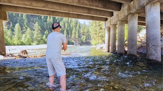 There's a GIANT Trout Under this Bridge