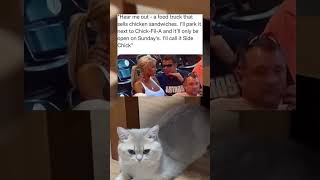 Subscribe :)#memes #cat