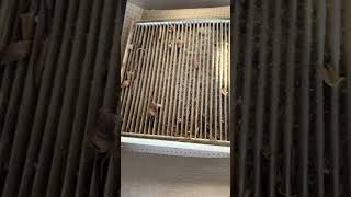 Car air filter change Florida #autocare #mechanic #sarasota #maintenance #carmaintenance #carrepair