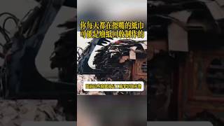 你一定想不到你每天在擦嘴的纸巾可能是废纸回收制作的，看到这样的场景你还敢用吗？