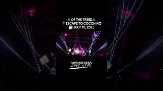 Of The Trees #edm #edmfestival #edmtiktok #edmmusic #edmrush #rave #raveculture #raversunite #raver