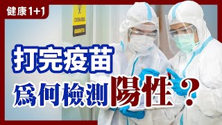 打 疫苗 後需要定期做 病毒檢測 嗎？ | 感染 新冠 之後可獲得多長時間的 免疫力 ？ | 完成疫苗施打的人什麼情況下會出現 病毒 檢測 陽性 結果？ | 健康1+1