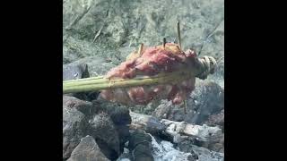 Survival Girl #SurvivalSkills #MountainSurvival #OceanSurvival #AdventureTime #OutdoorLife
