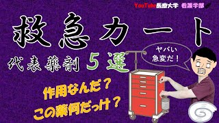 【救急カート　代表薬剤５選！】アドレナリン、ノルアドレナリンの使い分け？薬理作用や適応場面を交えて、簡単に解説♪