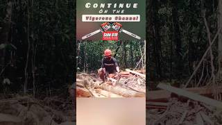 TANCAP KETEBALAN 20cm‼️ chainsaw stihl070 #shortss