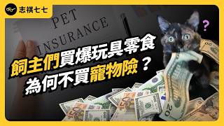 只有1%的汪喵星人，有買寵物險！為什麼大部分的飼主都不投保？｜志祺七七