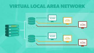 Tagged vs Untagged VLAN: What's the Difference?