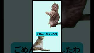 医療事務あるある　受付の猛者たち #医者 #医学生  #cat #医師監修 #医療従事者 #看護師#看護師あるある #看護学生 #看護学生あるある #医療事務　#医療事務あるある