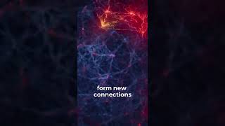 Neural Stem Cells - Your Brain's Secret Repair Team