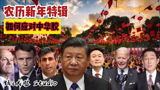 反共華裔必看！過年的時候如何應對中華膠！