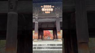 【日本旅行】京都另一個賞楓葉勝地—南禪寺 #日本の風景 #京都 #京都観光 #南禪寺 #京都自由行 #京都旅行 #京都郊外 #京都散歩 #kyototrip #京都旅遊