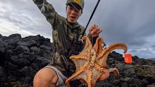 DOUBLE HOOKUP!  Tako / Po'opa'a on the Oama!