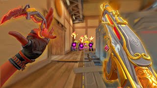 Professional Immortal Player #74 (SOLO QUEUE)