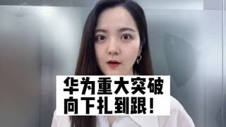 华为自主可控重大突破！助力国家软件信息安全#商业新说#华为