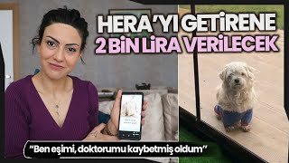 MS Hastası Genç Kız 'O Olmadan Yaşayamam' Dediği Köpeğini Getirene 2 Bin Lira Ödül Verecek