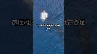 解鎖開掛人生的關鍵「保持心靈柔軟，創造無限可能」。 #開掛人生 #解鎖 #無限可能