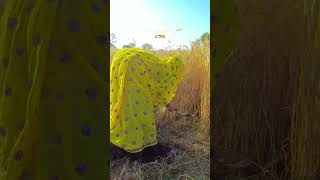 #sudda #song #golumeena #dancemusic #meenasamaj #meenadeshraj #dancesong #rajasthani