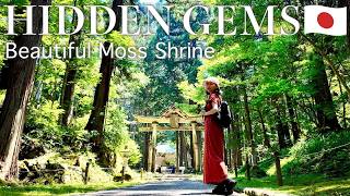 FUKUI🇯🇵 Japan’s Secret Moss Shrine⛩️✨ Hidden Gem in Katsuyama city!!