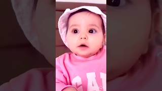 Funny cat 🐈 video monkey 🐵video #monkeyvideo #monkey #shorts #funnydogs  #youtubeshortsviral