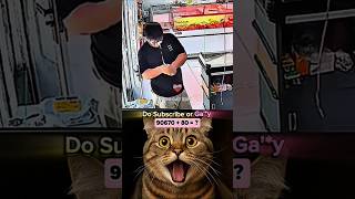 bro Cooked 😂 #memes #cat #shorts #tranding #viral