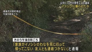 [Two men died in the mountains after going to check out wild boar traps and never returned] Possi...