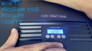 HOW TO PROGRAM YOUR BIOCUBE LIGHTS | BIOCUBE 101