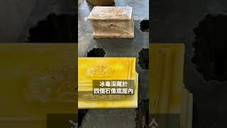 17歲中國籍男子走私冰毒入澳洲判囚6年半 | SBS中文