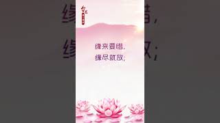 卢台长 佛言佛语    《缘来缘尽》