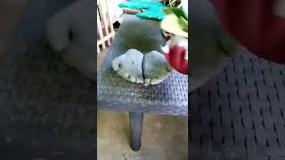 Hands made of cement