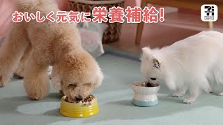 おいしく栄養補給！「セブンプレミアム ライフスタイル 犬のごはん鶏むね肉ミール」15秒版