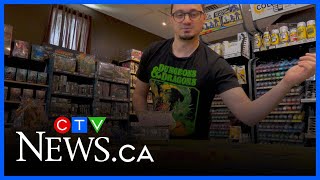 Hobby shops say it will be game over due to Quebec’s language law