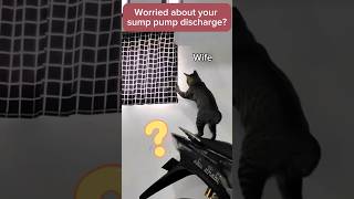 WORRIED Wife #basementwaterproofing #floodalert #sump #basementdefender #smarthome #catmemes #flood