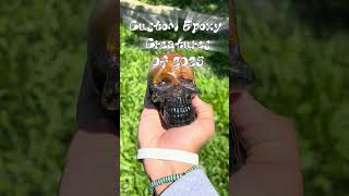 2025 Custom Epoxy Creatures Compilation #shorts #fyp #viral #epoxy #fun #declanmckenna #art #resin
