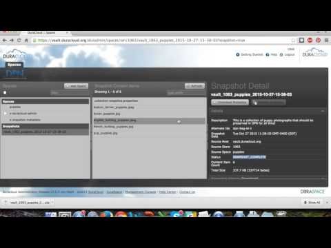An Introduction to DuraCloud Vault