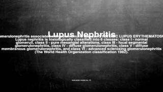 Medical vocabulary: What does Lupus Nephritis mean