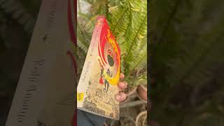 Rishi Amatya - Radha *Wrath of the Maeju* : #nepalibook #books #booktube #bookclub #booktok #nepali