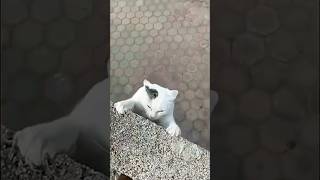 영화 속 한 장면 같은 상황
