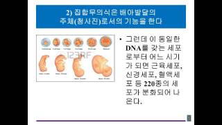 37  강길전의 양자의학 강의, 마음의학, 집합무의식의 기능