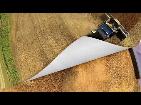 Stan's Soybeans 2015