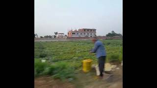 Din basko school...#trendingreels #viralvideo #travellog