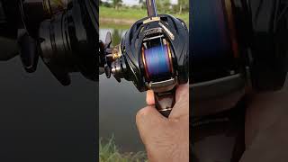 Daiwa Morethan PE1000 longcast #shot #shots #daiwafishing #daiwareels  #fishing #fishinglife #angler