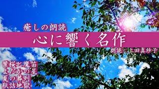 【名作文学】心に響く名作朗読　【感動】朗読：上田真紗子　プロ声優が贈る癒しの朗読　聴く小説　オーディオブック　短編小説