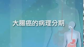 大腸癌的病理分期 胡志遠教授