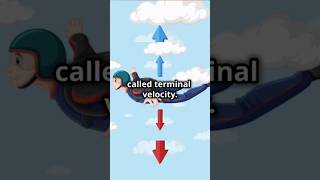 Terminal Velocity Explained... via Skydiving 🤔 #facts