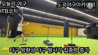 야구 타격 교정 훈련법