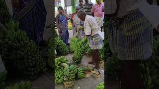 pollachi banana market 💲today banana price #banana #coimbatore #pollachi #agriculture #farming
