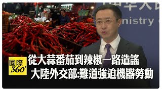 辣椒也中招 生產機械化何來強迫勞動?!  林劍諷外媒:造謠專業戶 【國際360】20241220@全球大視野Global_Vision